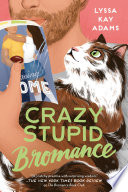 Crazy_stupid_bromance